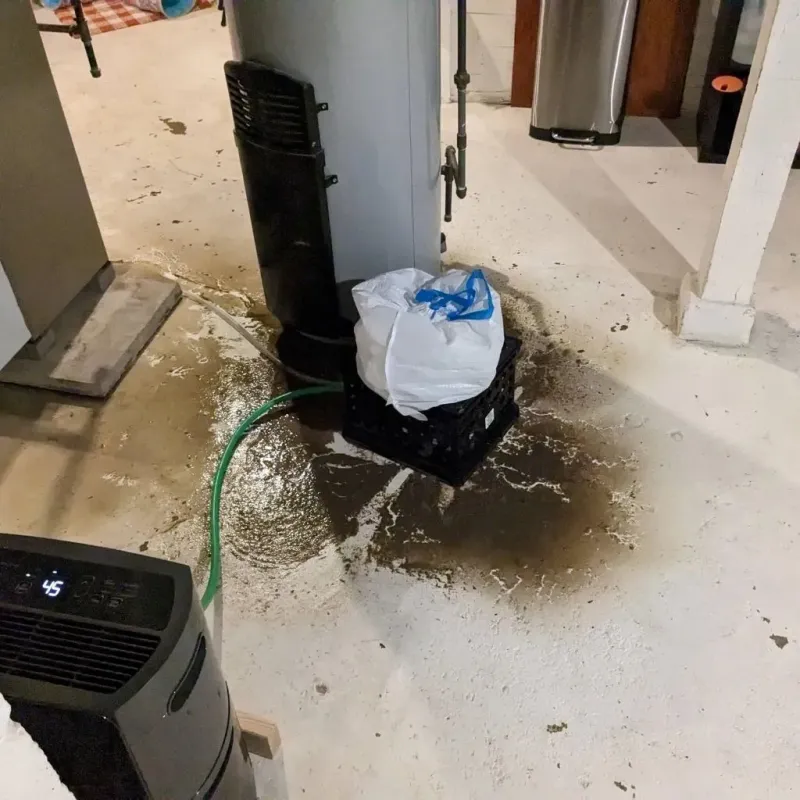 Sewage Backup Cleanup Service in Marfa, TX